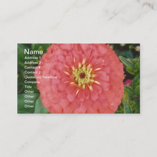 Carte De Visite Red Zinnia (Devant)