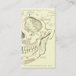 Carte De Visite Région vintage d'Anterolateral d'anatomie du crâ