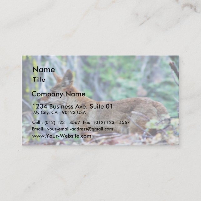 Carte De Visite Renard gris (Devant)