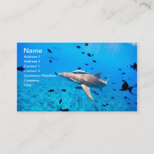 Carte De Visite Requin