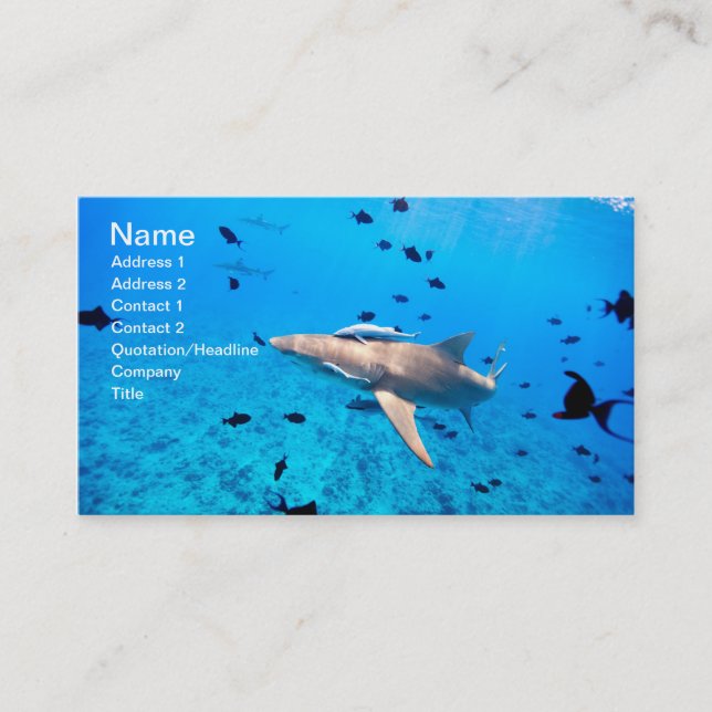 Carte De Visite Requin (Devant)