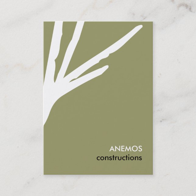 Carte De Visite résumé (Devant)