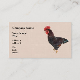 Carte De Visite Rhode Island Red Rooster