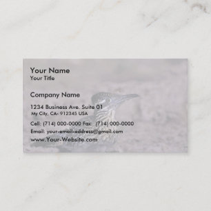 Carte De Visite Roadrunner