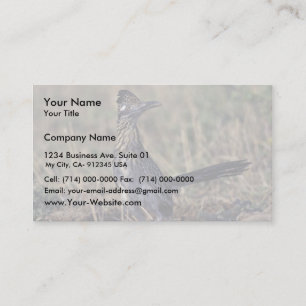 Carte De Visite Roadrunner