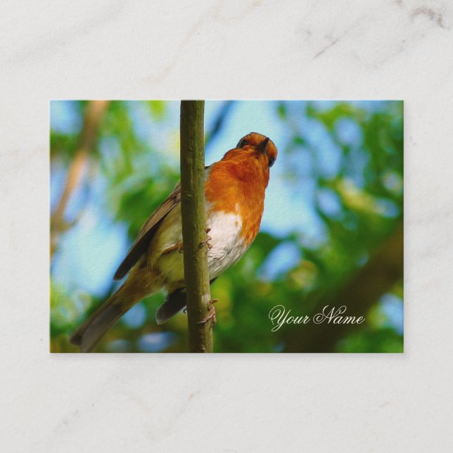 CARTE DE VISITE ROBIN (Devant)
