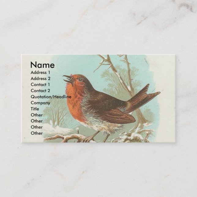 Carte De Visite Robin Vintage (Devant)