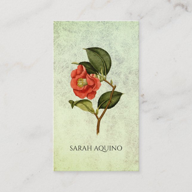 Carte De Visite Rose Camellia Floral Sur Sage Texté (Devant)