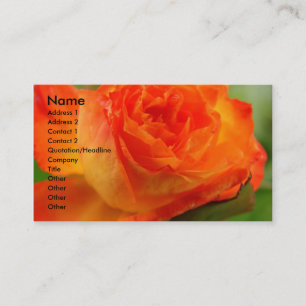 Carte De Visite Rose dans Mon Jardin