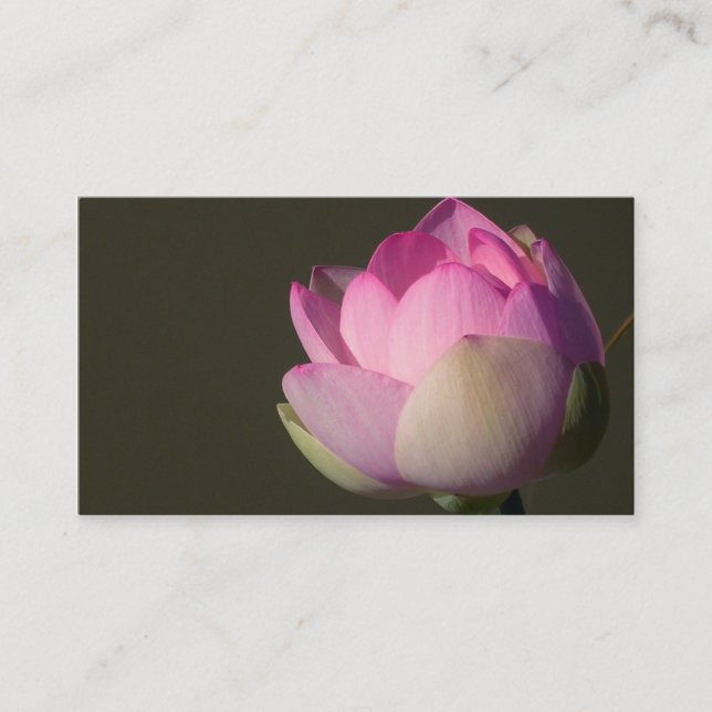 Carte de visite rose Lotus (Devant)
