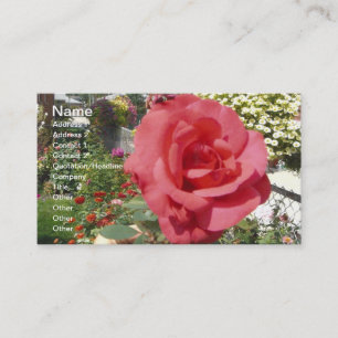 Carte De Visite Rose rose dans le jardin de grand-mère