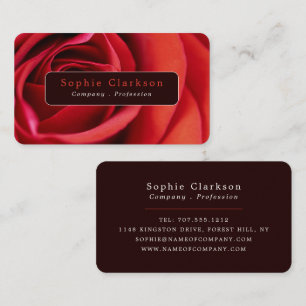 Carte De Visite Rose Rouge