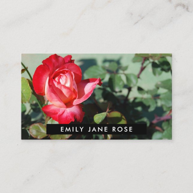 Carte De Visite Rose rouge, fleuriste (Devant)