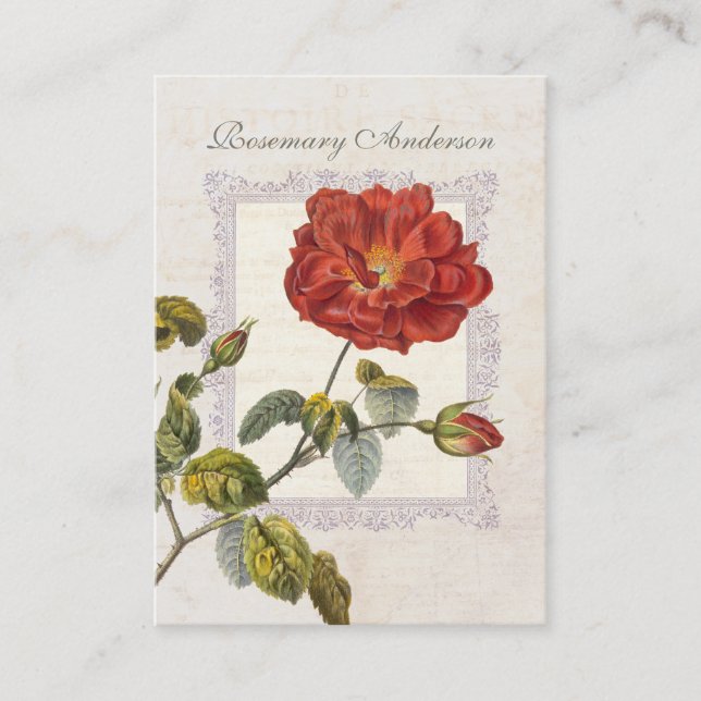 Carte De Visite Rose rouge très élégante à l'ancienne pour jardini (Devant)