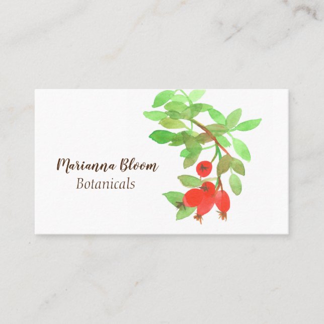 Carte De Visite Rosehips Rose Herbe Plante botanique Rouge (Devant)