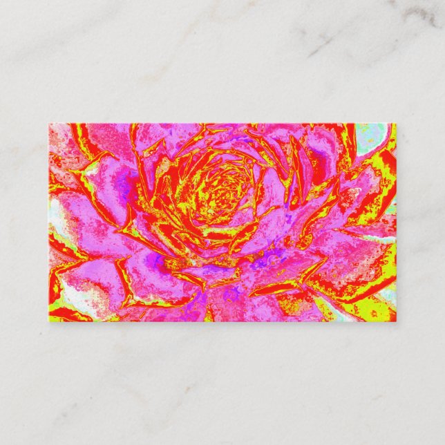 Carte De Visite Rosette Succulente Succulente rose, rouge et jaune (Devant)