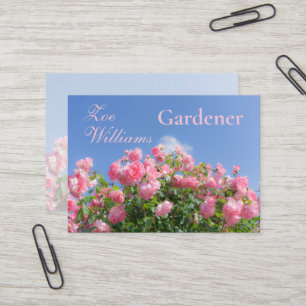 Carte De Visite Rosier rose sous ciel bleu, coutume