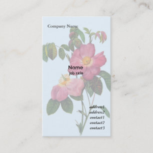 Carte De Visite Rosier sauvage rose fleur, Pierre Joseph Redouté