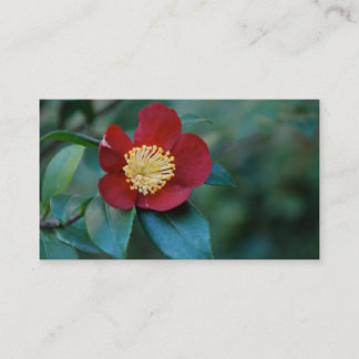 Carte de visite rouge de fleur