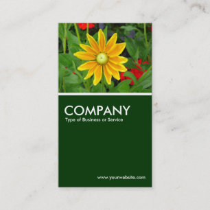 Carte De Visite Rudbeckia de Sun de prairie