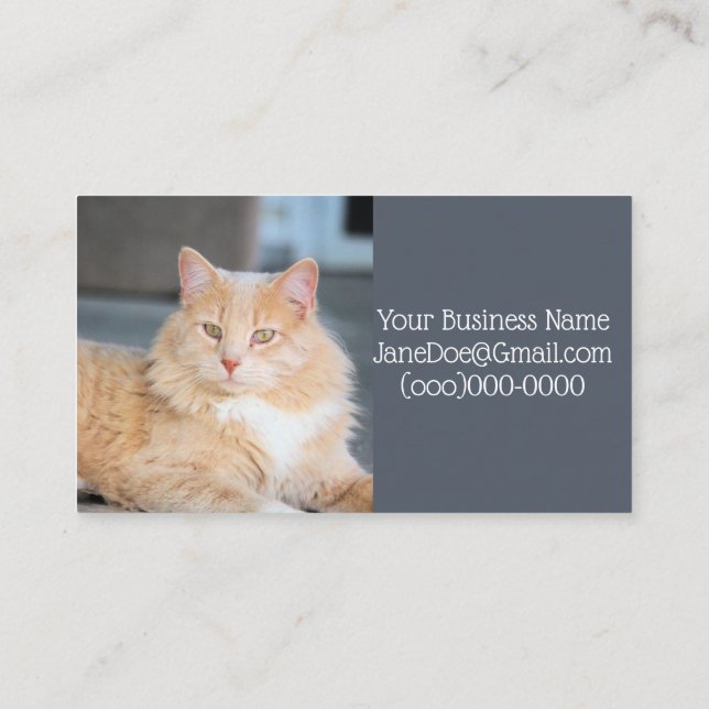 Carte De Visite Ruffles (Dos)