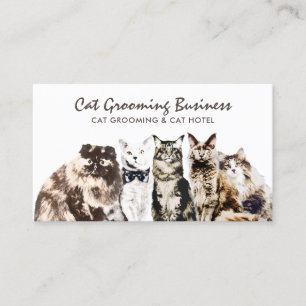 Carte De Visite Salon pour animaux domestiques Chats Spas