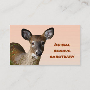 Carte De Visite Sanctuaire animal de délivrance