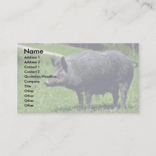 Carte De Visite Sanglier