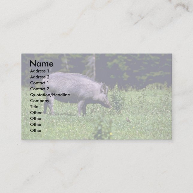 Carte De Visite Sauvage (Devant)