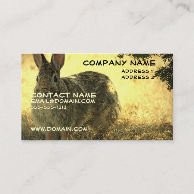 Carte de visite sauvage de lapin (Devant)