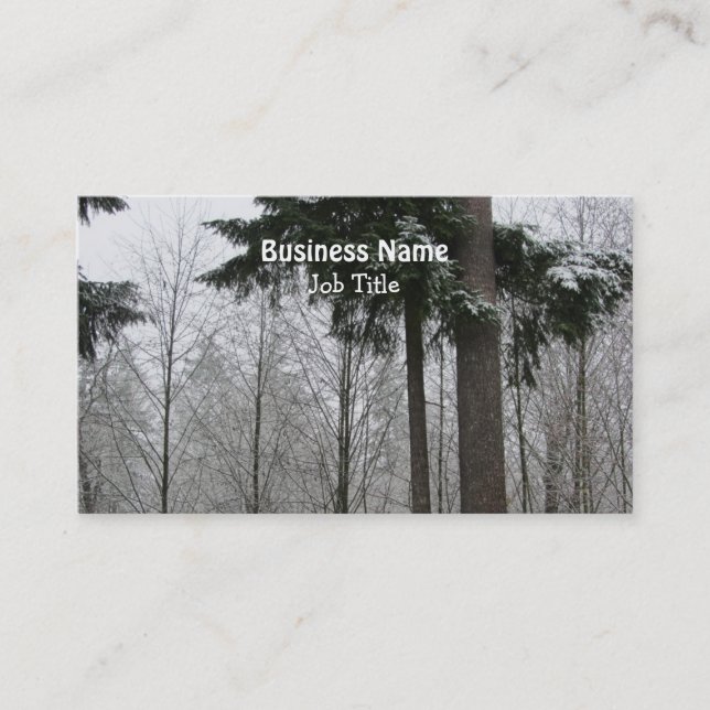 Carte De Visite Scène hivernale (Devant)