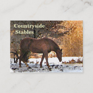 Carte De Visite Scène hivernale Cheval Stables