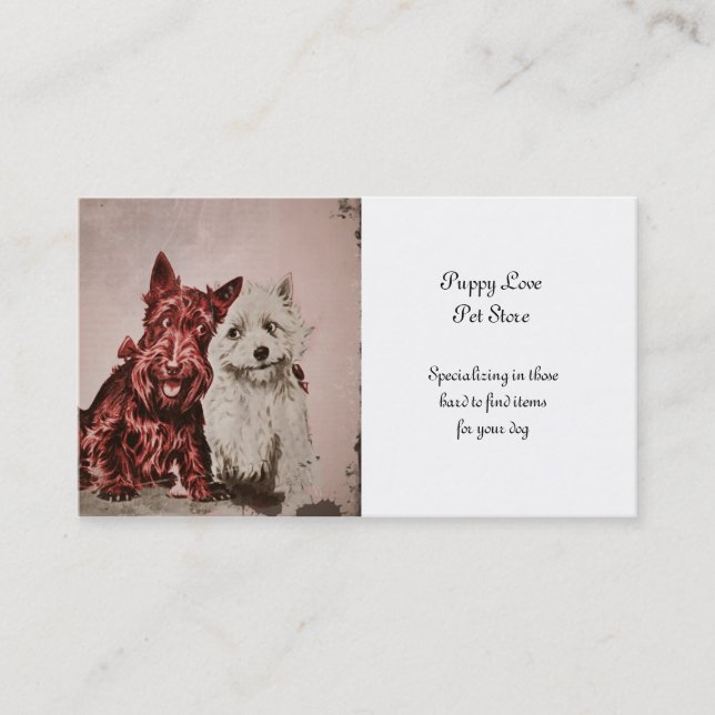 Carte De Visite Scottie Love (Devant)