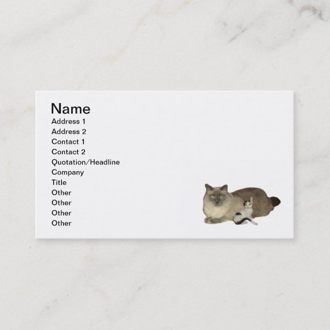 Carte de visite Secourt animal (Devant)