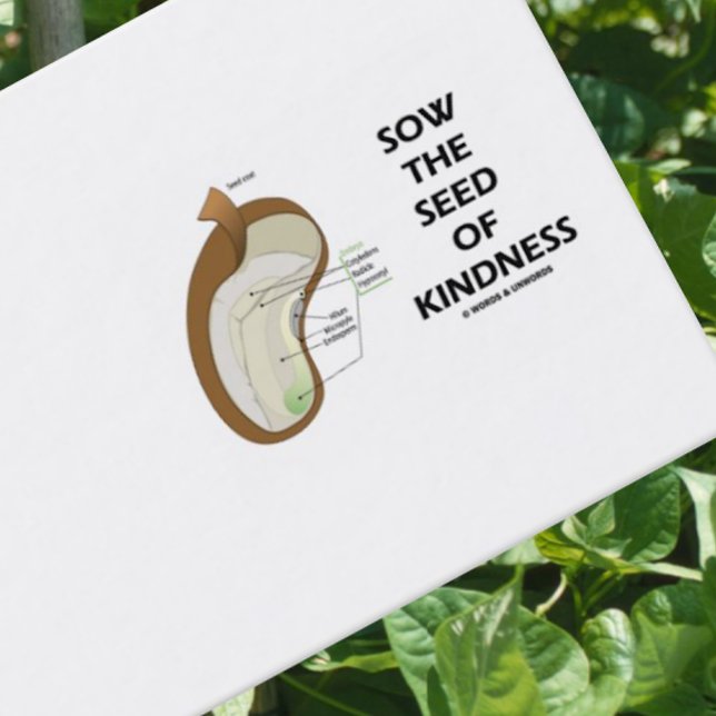 Carte De Visite Semence Des Graines D'Enduit (Graine De Haricots D (Dicotyledon bean biz card for anyone who wishes to encourage others to 
"Sow The Seed Of Kindness")