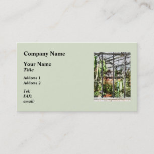 Carte De Visite Serre Avec Gros Cactus