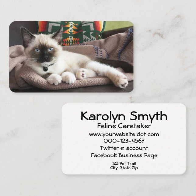 Carte De Visite Service animal de compagnie Chaton glamour Modèle  (Devant / Derrière)