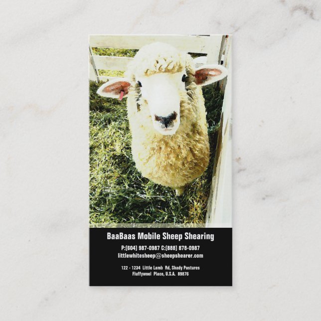 Carte De Visite Service de ferme ou de cisaillement de moutons (Devant)
