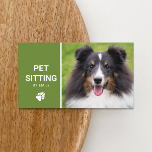 Carte De Visite Service de garde d'animaux Photo de chien Sheltie 