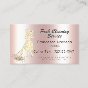 Carte De Visite Service de nettoyage des poches Parties scintillan