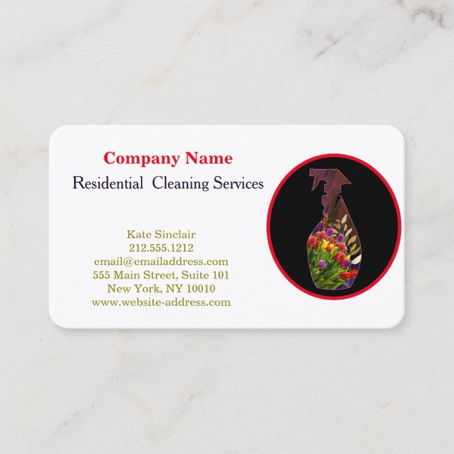 Carte De Visite Service de nettoyage professionnel moderne Spray b (Devant)