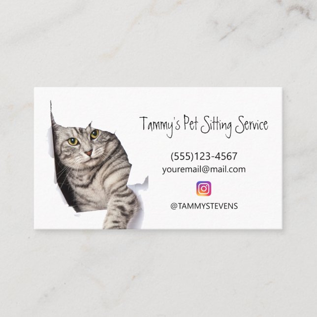 Carte De Visite Service de pose pour animaux de compagnie de chats (Devant)