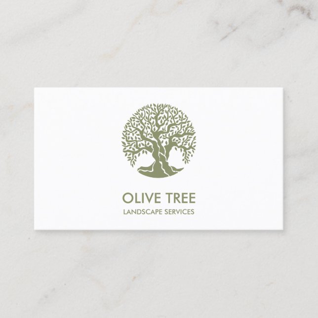 Carte De Visite service paysagiste professionnel et soin de pelous (Devant)