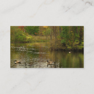 Carte De Visite Services Pond