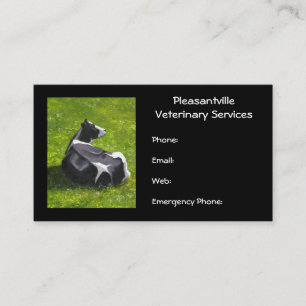 Carte De Visite Services vétérinaires de peinture originale de