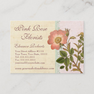 Carte De Visite Shabby Elegance Vintage Chic Chien Rose Rose