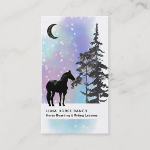 Carte De Visite *~* Shaman Cosmar Stars Moon Horse Ranch Rainbow