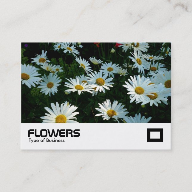 Carte De Visite Shasta Daisies (Devant)