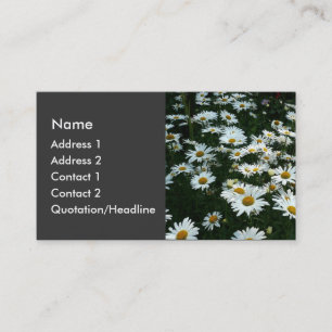 Carte De Visite Shasta Daisies