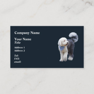 Carte De Visite Sheepadoodle avec écharpe à carreaux bleus